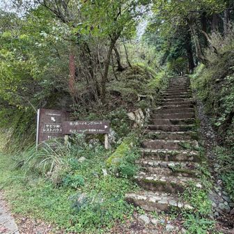 ヤビツ峠から岳ノ台に向かう階段