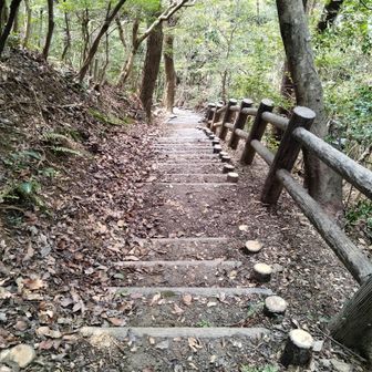 膝に負担をかけないようにウルトラスローモーで歩く。
ゆっくりすぎて、皆のゴールに間に合わなかったりして(笑)