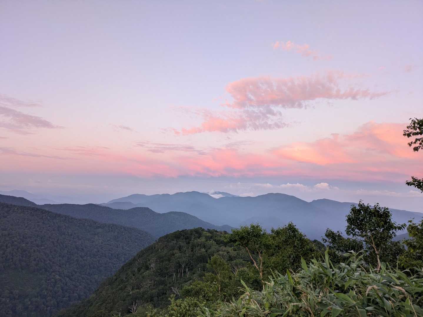 砂防新道-白山-観光新道 周回コースの写真