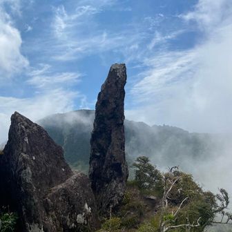 なかがみさん🏍️