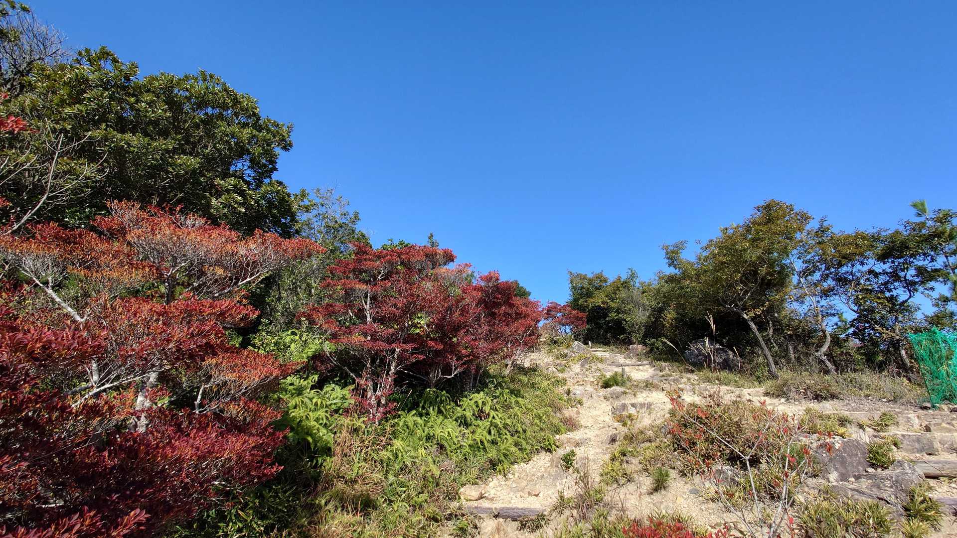 青空が広がり天気は最高！
でも暑くて長T一枚でしたが汗だくになりました。