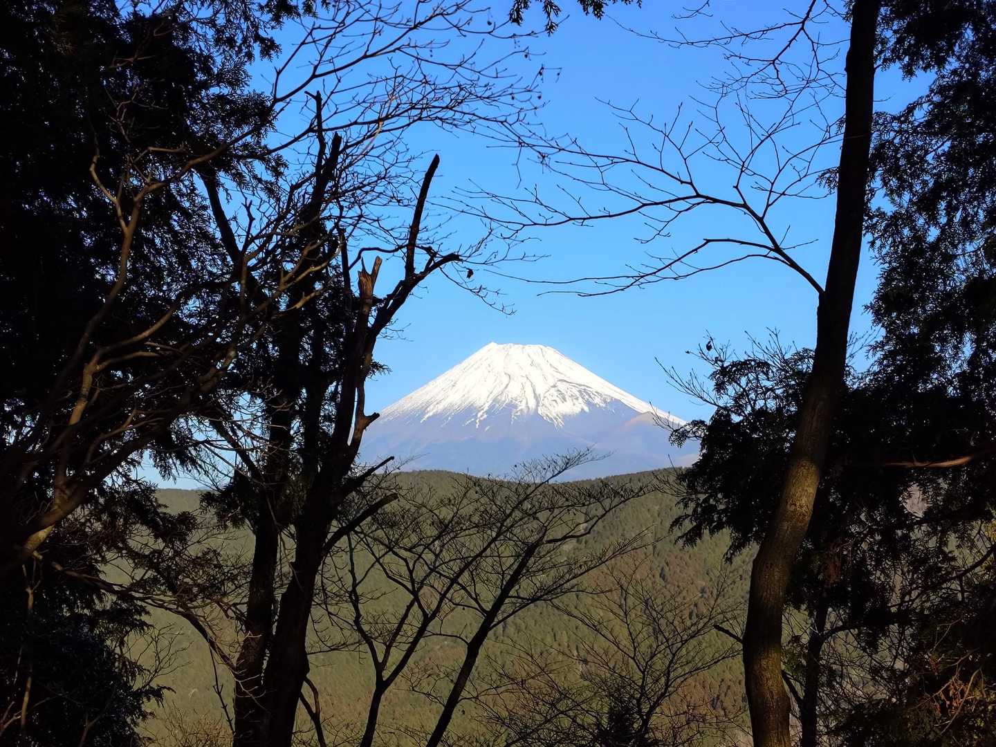 富士山🗻✨️