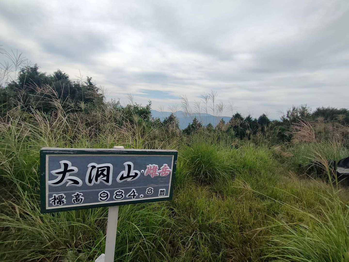ススキの穂が茂ってます