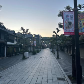 参道も貸し切り状態？