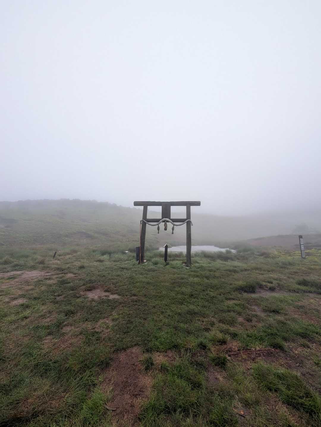 でもこんな雰囲気は好きです✨