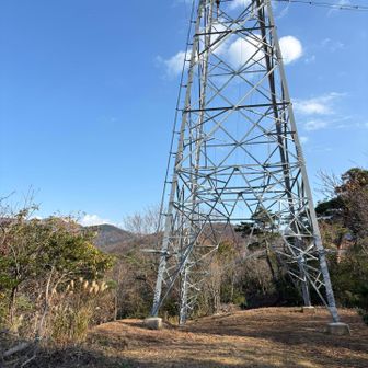 中山到着(*^▽^*)
山用の靴じゃなかったけど難なく登ることができました