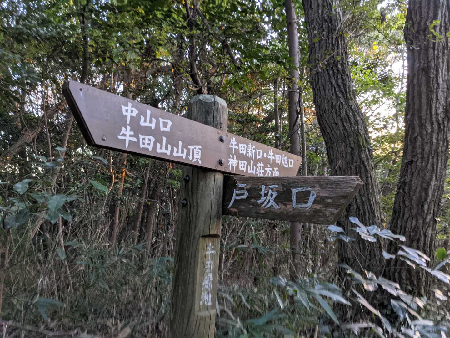 見立山-神田山-牛田山-尾長山-二葉山 縦走コースの写真