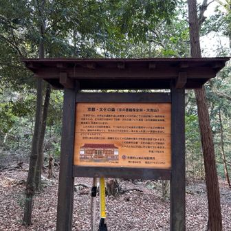 京の景観保全林