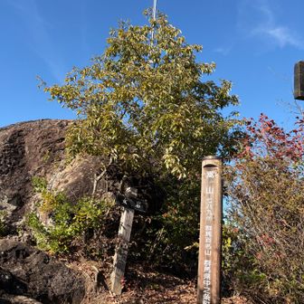 嵩山（大天狗）👺山頂