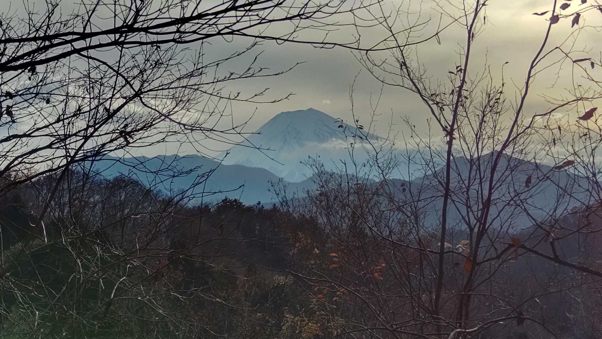 下山途中に富士山