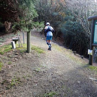 峠にると　尾根道を沢山のトレイルランナーが走ってました