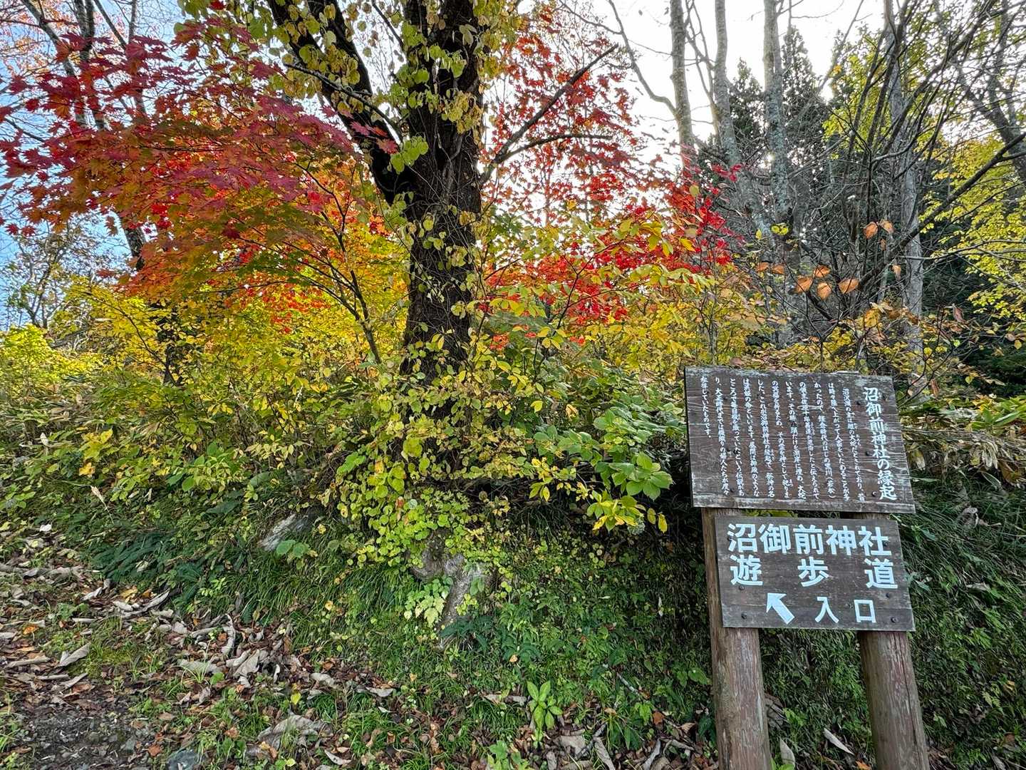沼御前神社⛩️へはここを登るらしい
いつか行ってみよう😊