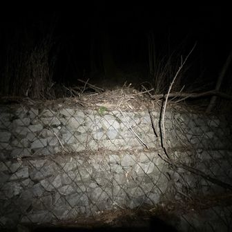 この辺りから登山道荒れてきて嫌な感じになってくる。
石積みを登るのが懐かしいな。
初めての時、ココ?！って思ったw