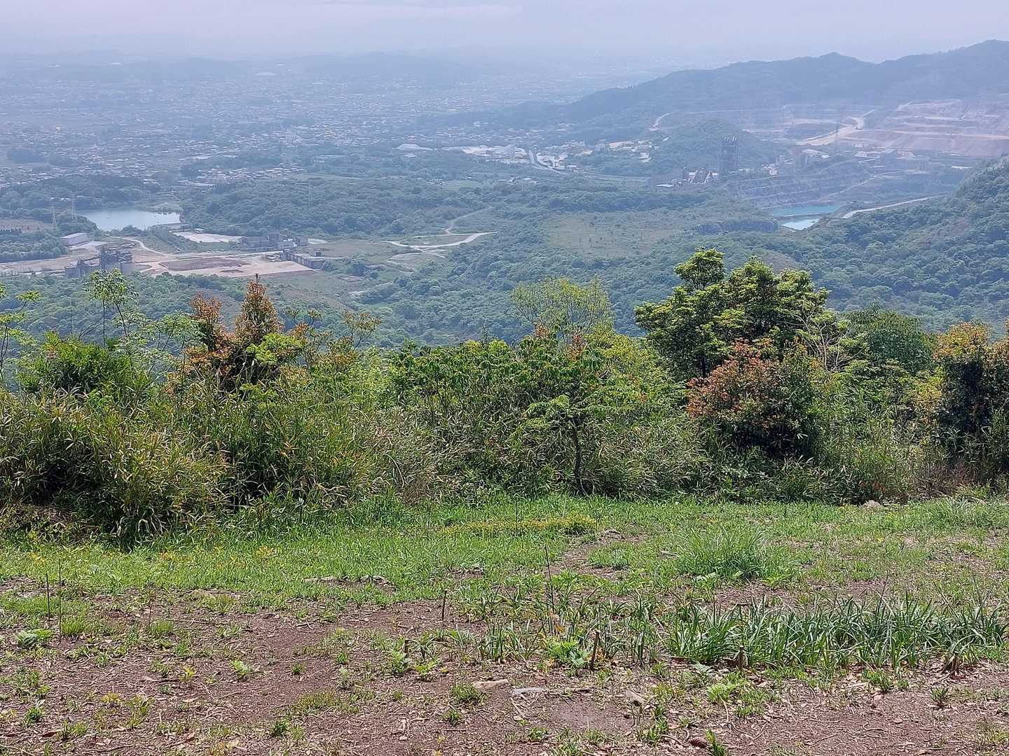 大山 往復コースの写真