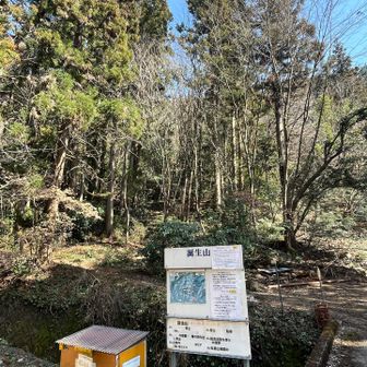 無事おりてきました〜