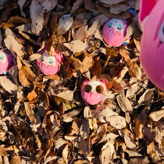 絶対やると思った(´-`)oＯ