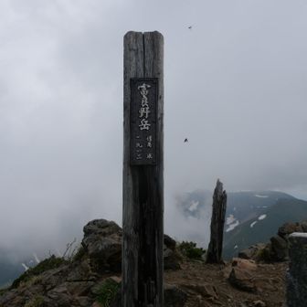  北海道百名山、花の百名山、一等三角点、　富良野岳1912m  　到着です！