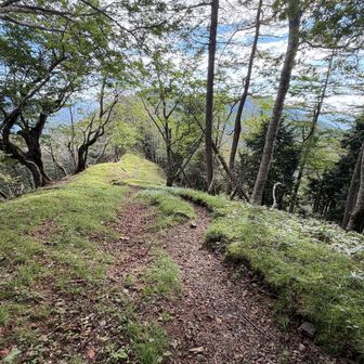 なんやかやで石尾根に出た。ずっと歩いて行きたくなる景色。