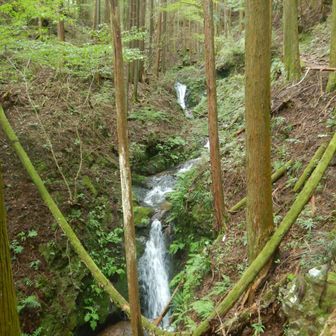 水量が多い