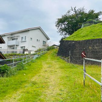 登る。