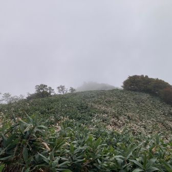 頂上より