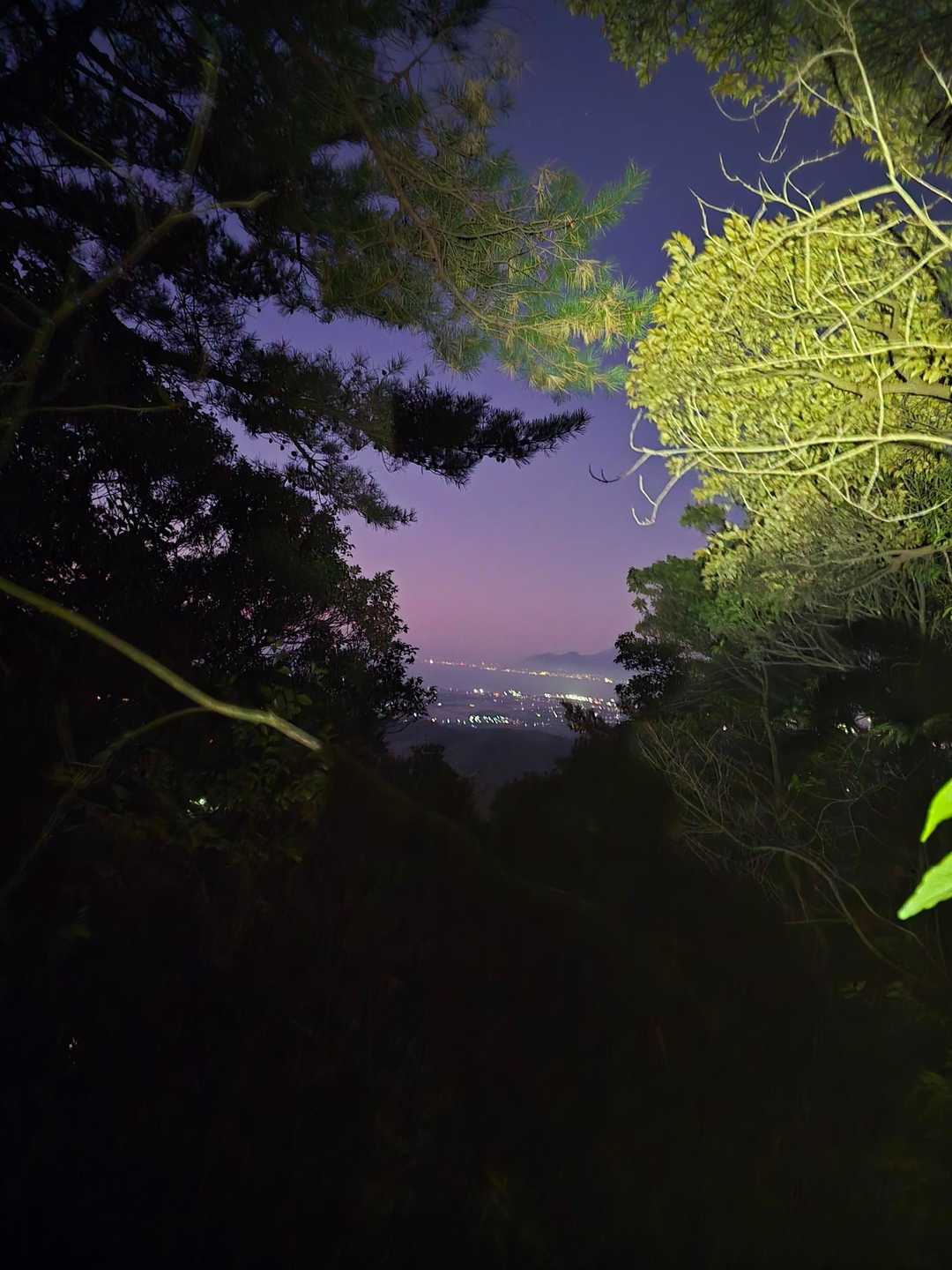 丸山キャンプ場登山口-丸山 周回コースの写真