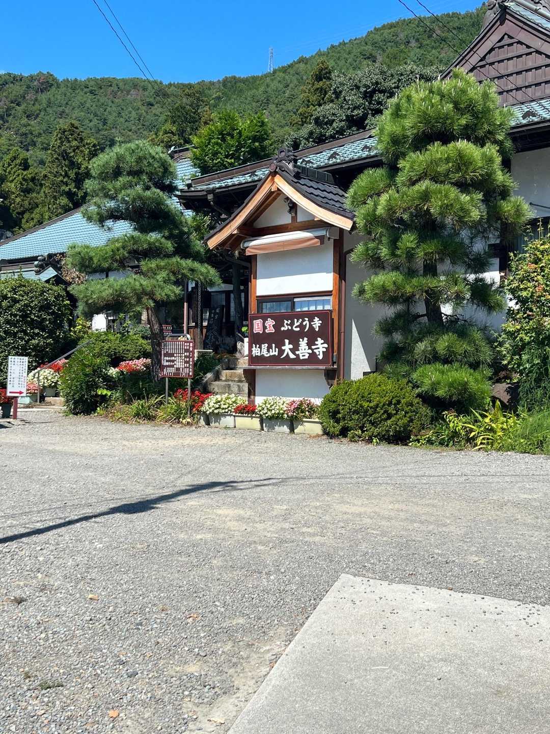 国宝ぶどう寺柏尾山　大善寺
住職さん手作りの🍷を販売してるらしい❣️