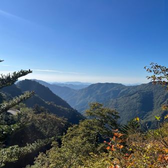 秋晴れ🍁