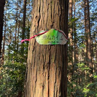 こちらの東ムカイ山の標識は