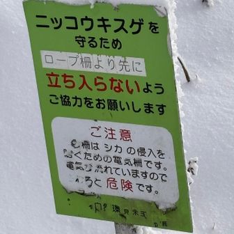 ロープ埋もれてるけどね