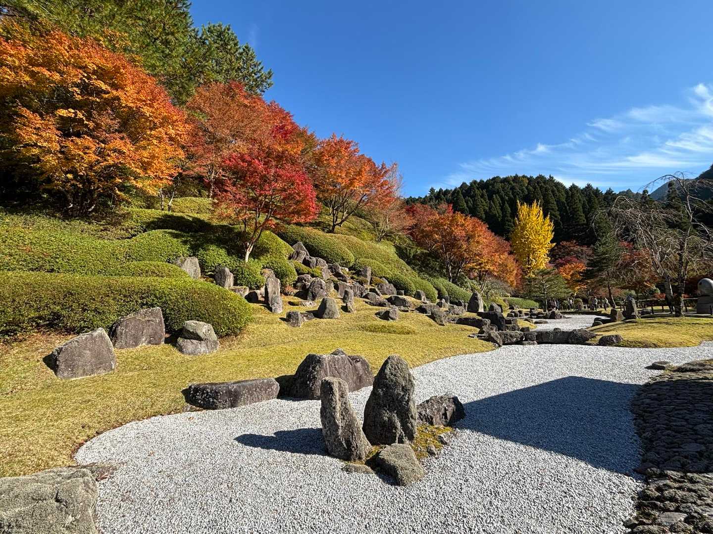 玉屋神社登山口-英彦山 往復コースの写真
