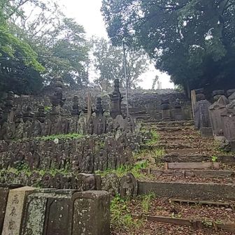 階段を降りはじめました

五百羅漢ってレベルじゃない🪦🪦🪦🪦🪦お墓の数
(お墓は苦手でしたが💦
もう平気になってる😌)