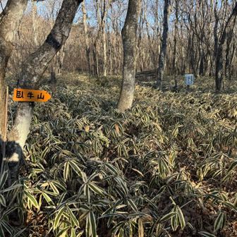 次は臥牛山へ行きます😊