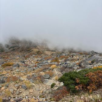 紅葉と濃霧
