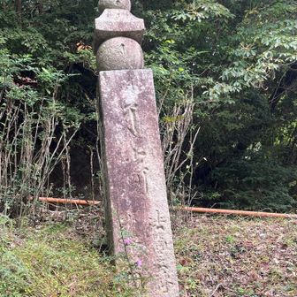 大門から7町石から1町石を確認する。