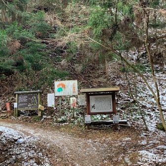 1回目下山です。
大峰山分岐から少し降ったところで『わー❗️』って、どデカい声で叫びながら、走ってくる団体さんが😱
って、思ったら、masaさんとtakuさんの二人だった😆
二人とも2太郎すると言うので、ご一緒に。