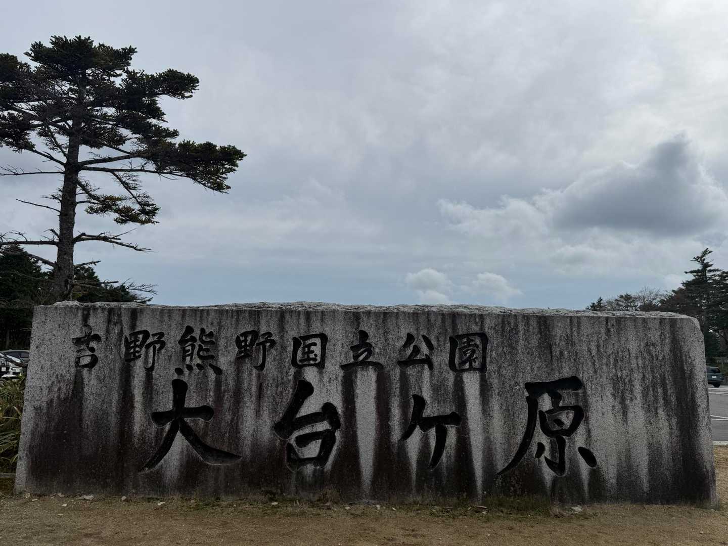 東大台コース | 白き立ち枯れの森が魅せる神秘の世界、初心者も感動する近畿の秘境の写真
