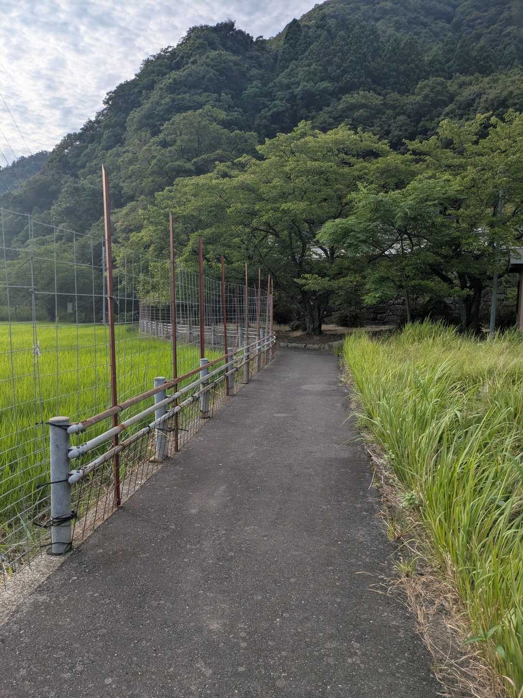 観音山登山口-観音山 周回コースの写真
