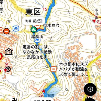 登山口の手前にて、
普段山に登らないお方としばし談笑😁
装備ゼロのスニーカーで「牛田山には行かず女学院大学方面に下山したい」との問いに、YAMAPで詳しく説明📋️

女学院大学左折は蜂の巣🪧の手前なので、写真撮ってたしで説明も楽々でした🤠

下山なのに中々の汗だったので驚いてました✨
「登山靴は落ち葉も滑らないのですね〜」なんて当たり前の質問に、ガッツリ先輩ヅラで応対🤠
YAMAPは「あー聞いたことある💡」らしいので、しっかりオススメしときましたよ✨