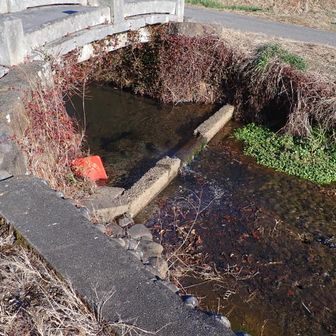 樺崎八幡宮前の小川で軽く泥を流してゴール

スッキリしたので帰ります🚙