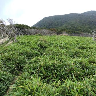 趣味活で満足したコロコロ隊
往路を戻る