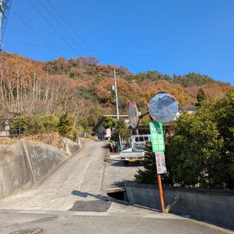 やっと登山口