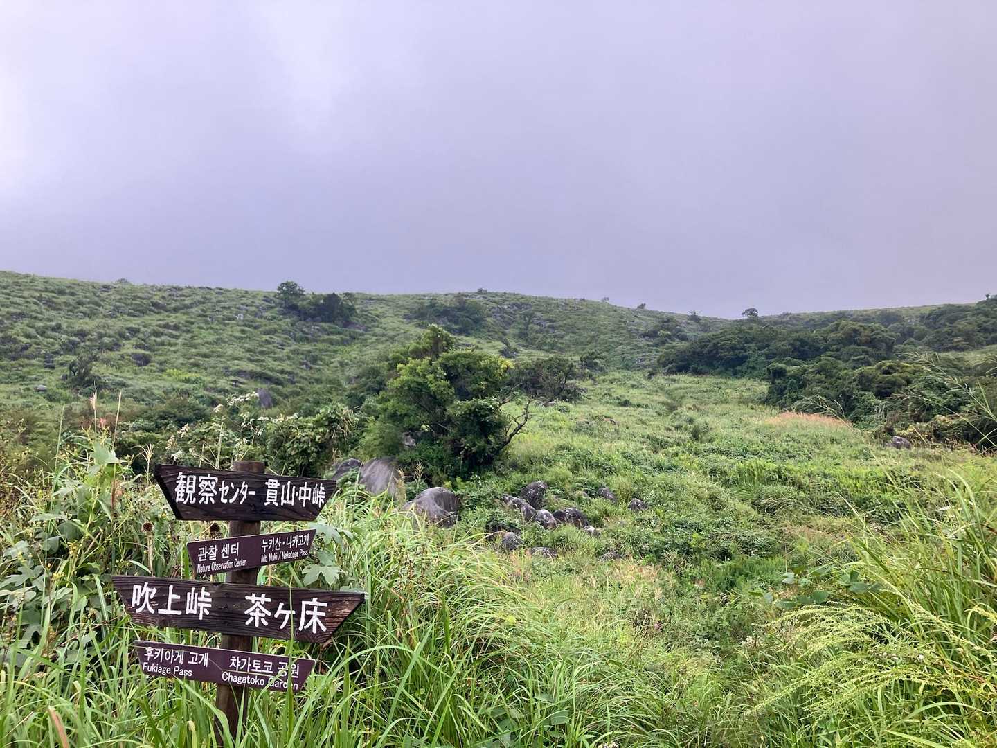 風神山-大平山-中峠-周防台-桶ヶ辻-天狗岩 周回コースの写真