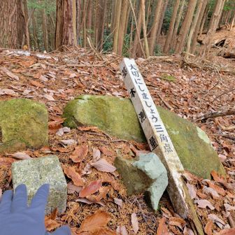 ヤクシ山の山頂