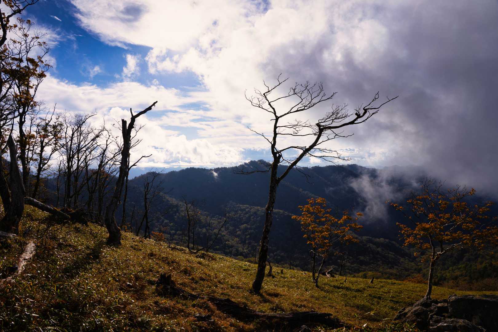 太尾登山口-古田ノ森-千丈平-釈迦ヶ岳-大日岳 往復コースの写真