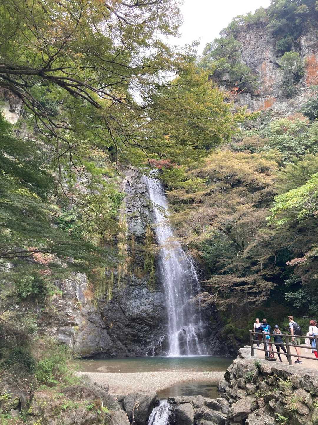 箕面大滝公園入口発着｜滝百選の名爆をめぐる往復コースの写真