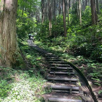 階段が整備されています。