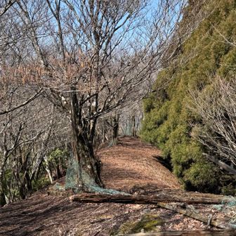 頂上はこんな感じ！