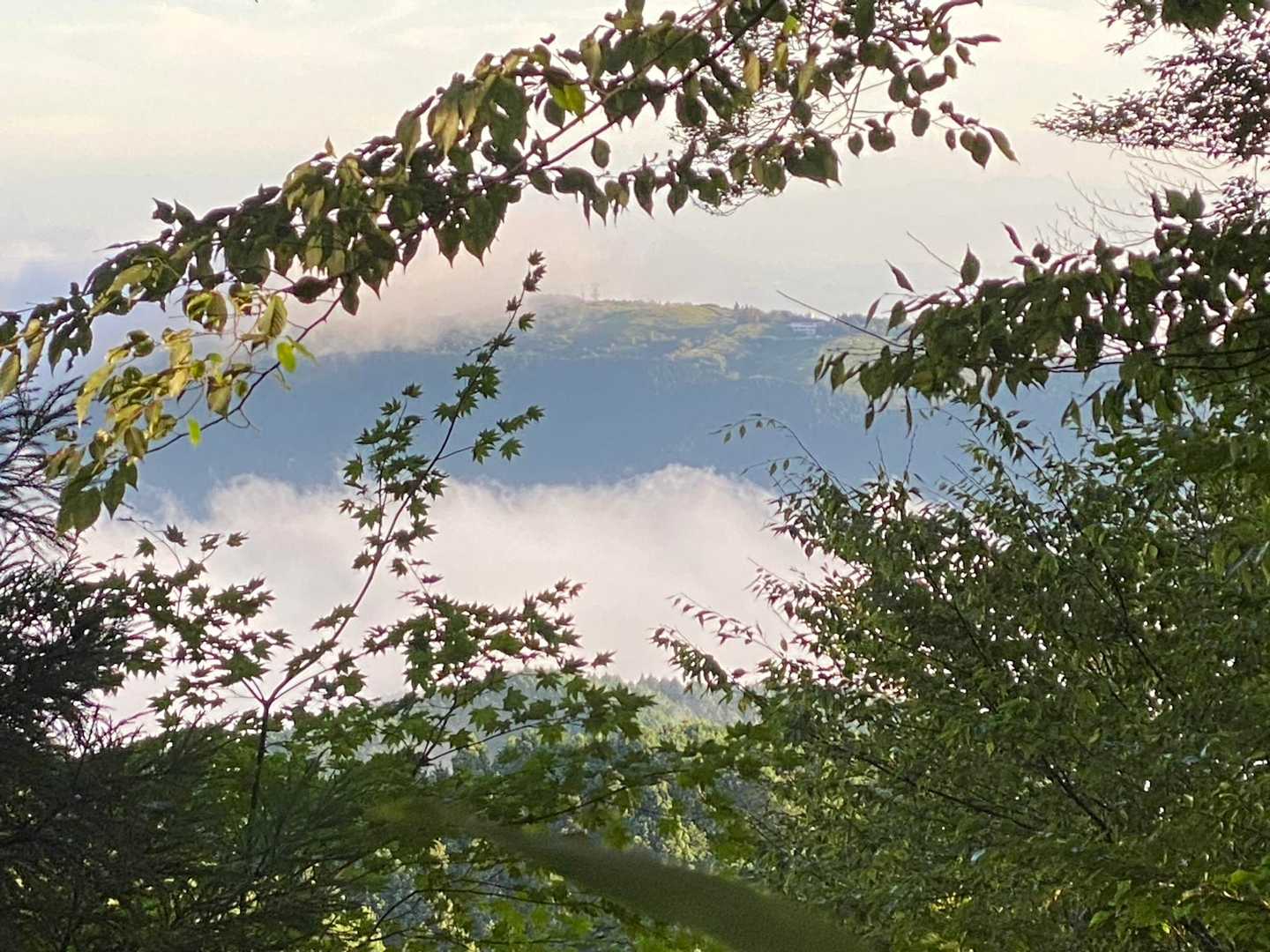 葛城山