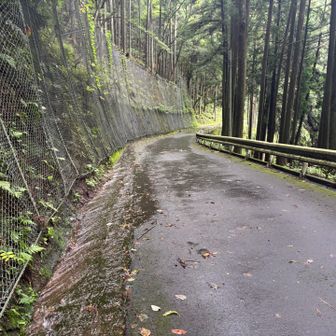 奥多摩駅を目指して下っていきます🏃‍♂️